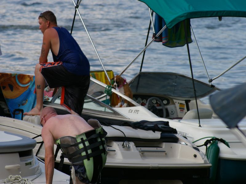 IMGP1651.jpg