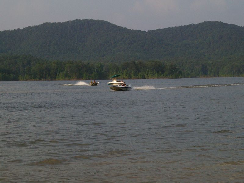 IMGP8403.jpg
