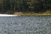 IMGP1677.JPG