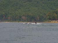 IMGP1085.jpg