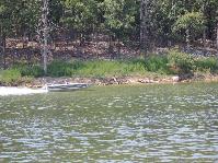 aIMG_8972 (496).jpg