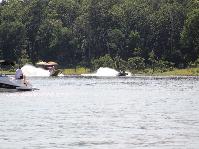 IMG_4649.jpg