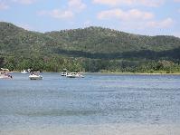 IMG_4240.jpg