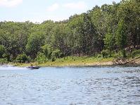 IMG_4316.jpg