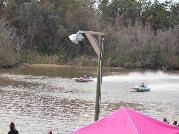 IMG_2350.jpg