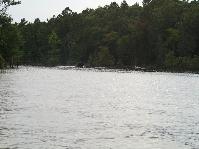 IMGP9645.jpg