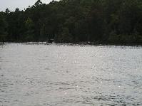 IMGP9646.jpg