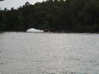 IMGP9648.jpg