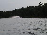 IMGP9656.jpg