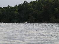 IMGP9700.jpg