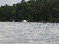 IMGP9701.jpg
