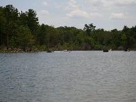 IMGP0117.jpg