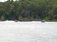 IMGP4461.jpg