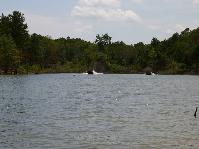 IMGP0089.jpg