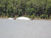 IMG_3826.jpg