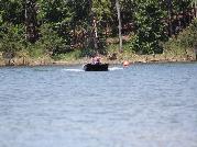 IMG_2394.jpg