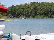 IMG_2445.jpg