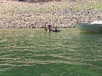 IMG_8242.jpg
