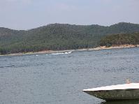 IMG_8333.jpg