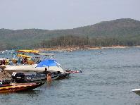 IMG_8337.jpg