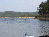 IMG_1436.jpg