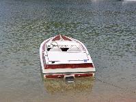 IMG_1446.jpg
