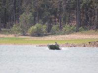 IMG_8670.jpg