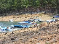 IMG_1482.jpg