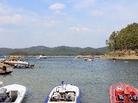 IMG_1483.jpg