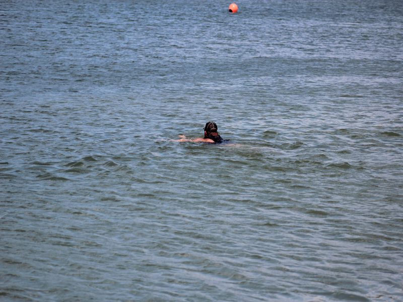 IMG_1455.jpg