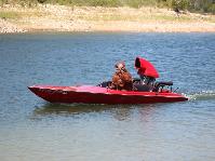 IMG_2317.jpg