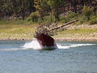 IMG_2341.jpg