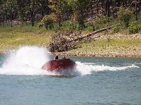 IMG_2342.jpg