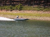 IMG_2382.jpg