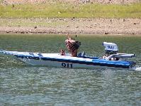 IMG_2408.jpg