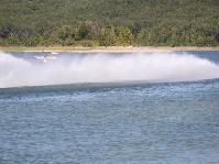 IMG_2525.jpg