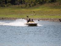 IMG_2728.jpg