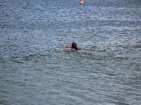 IMG_1455.jpg