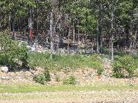 IMG_1290.jpg