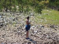 IMG_1556.jpg