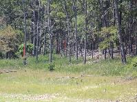 IMG_1292.jpg