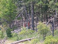 IMG_1293.jpg