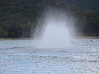 IMG_1737.jpg