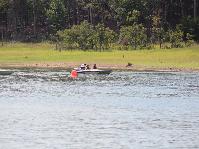 IMG_1745.jpg