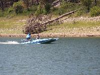IMG_1321.jpg