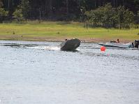 IMG_1891.jpg