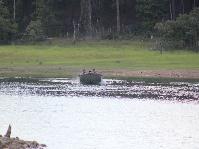 IMG_2058.jpg