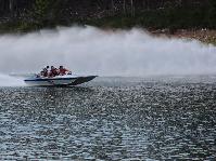 IMG_2071.jpg