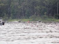 IMG_3922.jpg