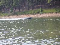 IMG_4001.jpg